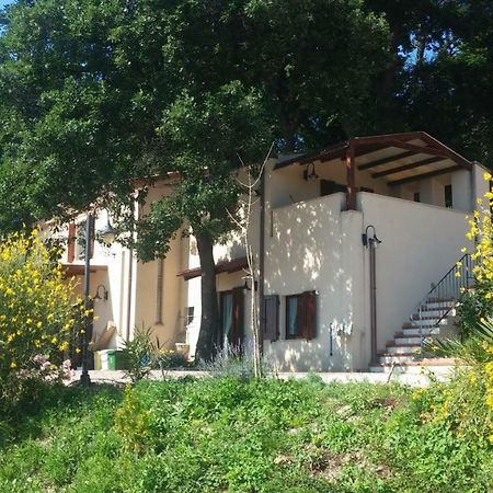Bed and Breakfast Le Querce Ancona Exteriér fotografie