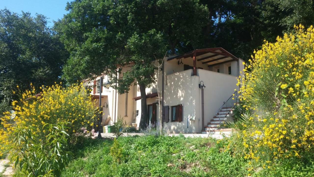 Bed and Breakfast Le Querce Ancona Exteriér fotografie
